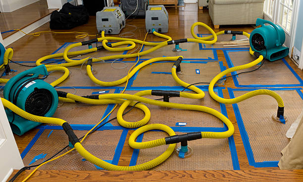 Professional Crawl Space Water Removal technician working in Strafford, NH